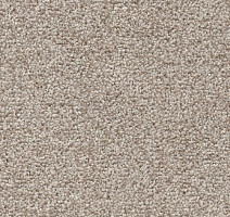 Ковролин AW Stainguard Harvest 04 фото 1 | FLOORDEALER